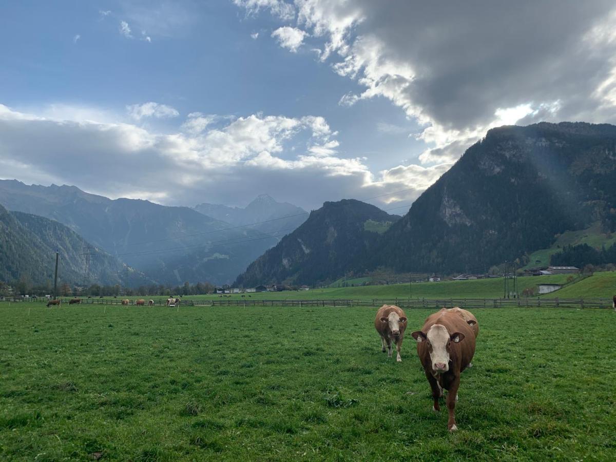 Alpen-Apart Schwendau Exterior photo